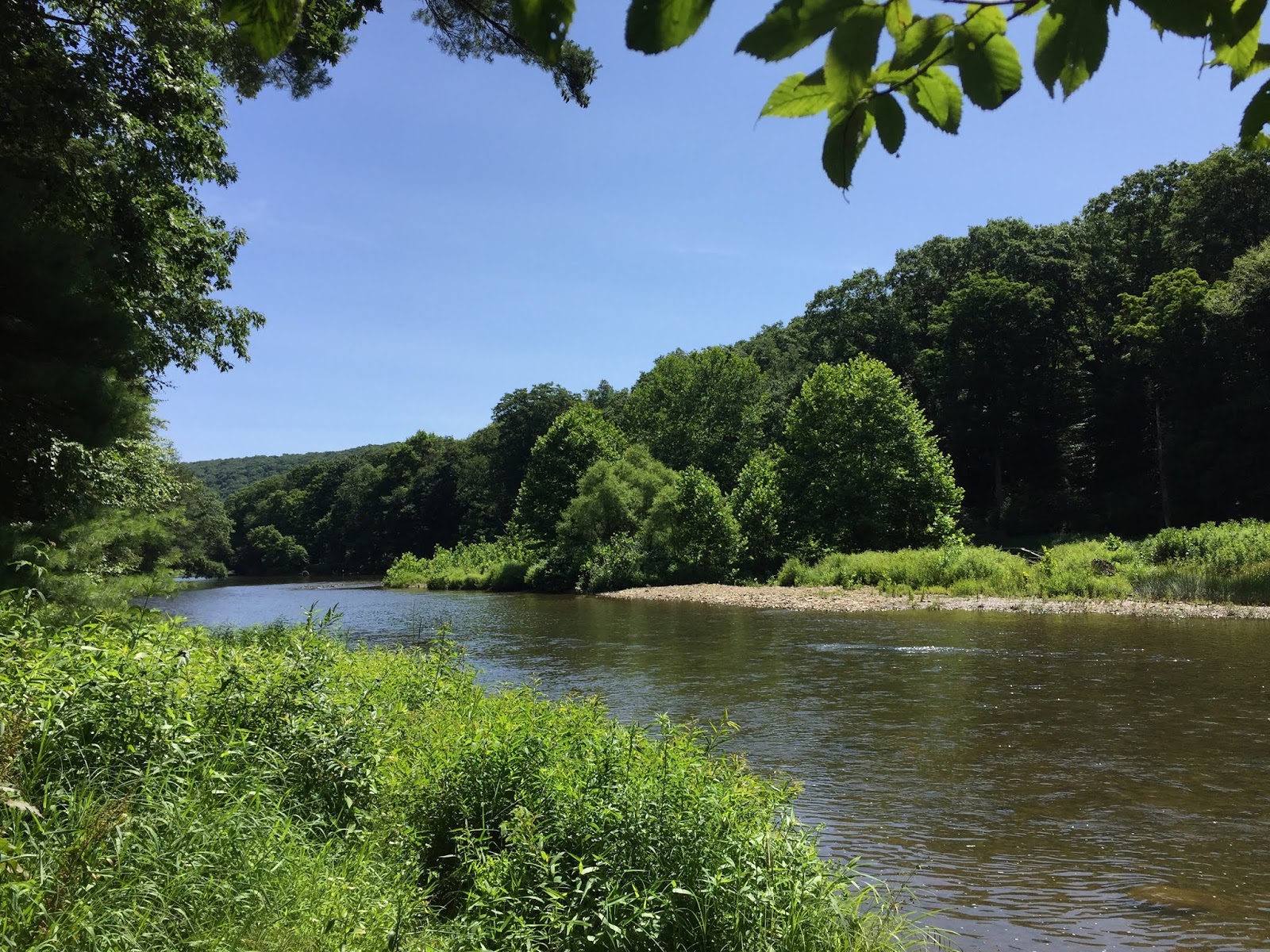 The Allegheny Journal A Backwoods Adventure Guide Salmon Creek, The