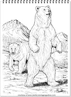 bear coloring pages for adults