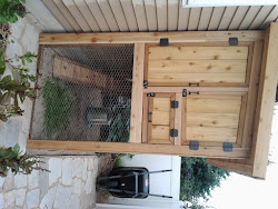 coop chicken dad suburban organic farm