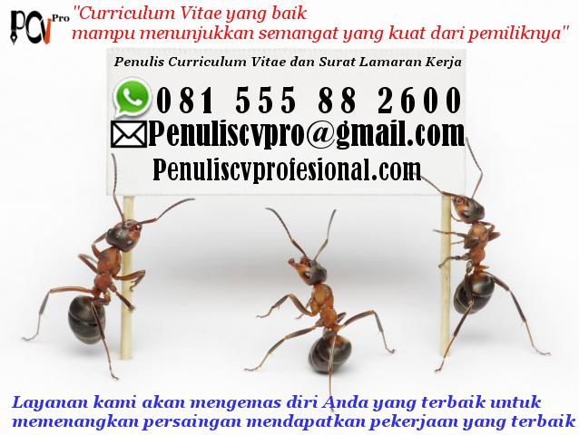 Jasa Pembuat CV