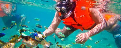 Snorkeling Gili Nangu