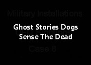 Ghost Stories Dogs Sense The Dead
