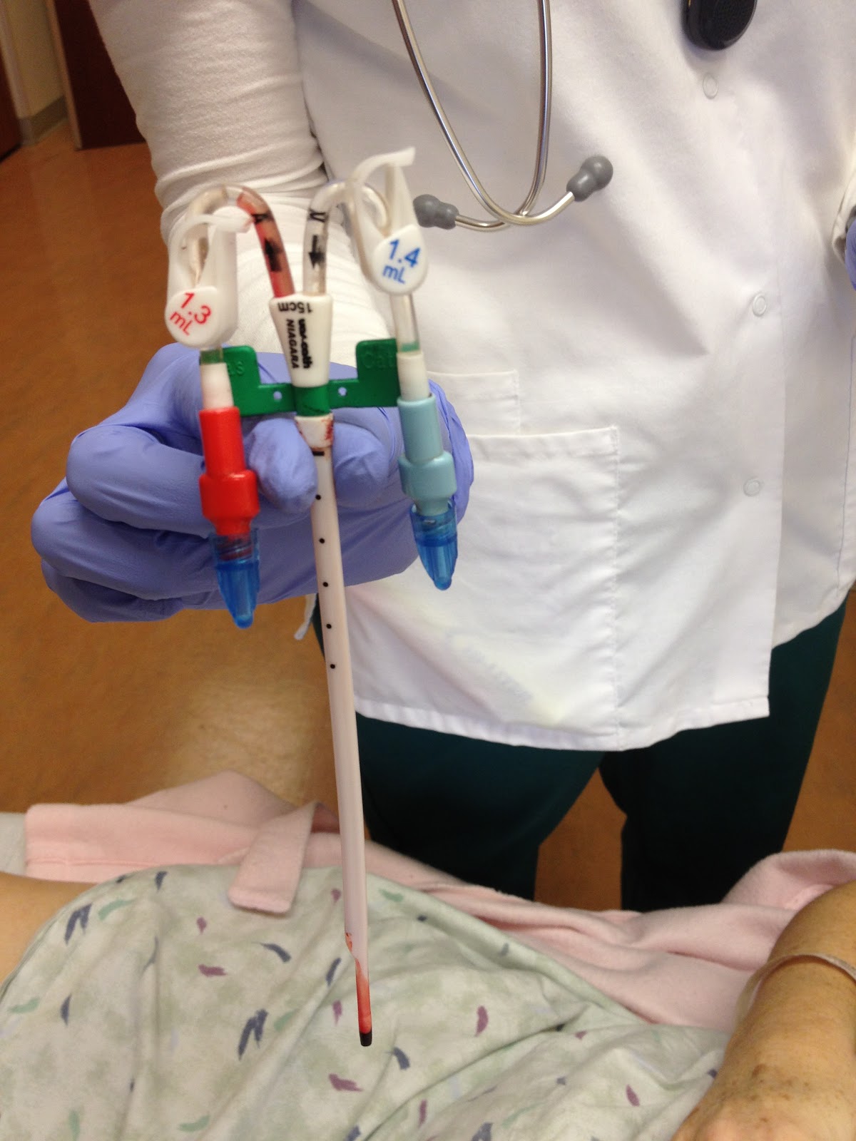 Directed Steps My Journey begins....