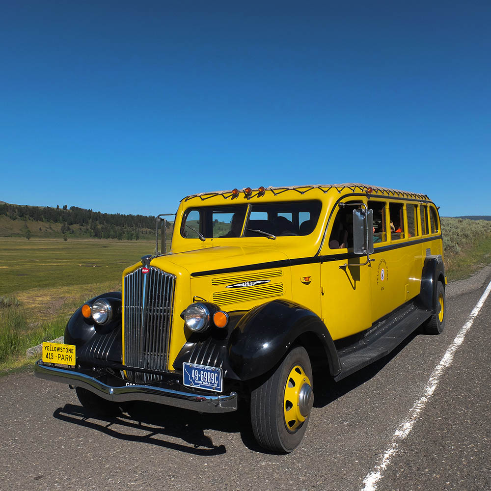 some old pictures I took: Yellowstone