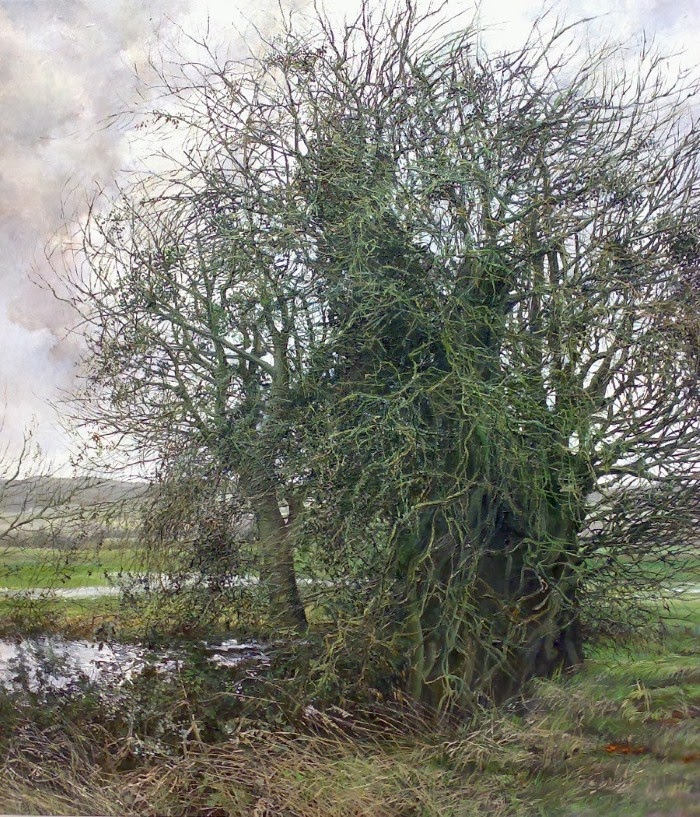 Jill Frost Jill Frost