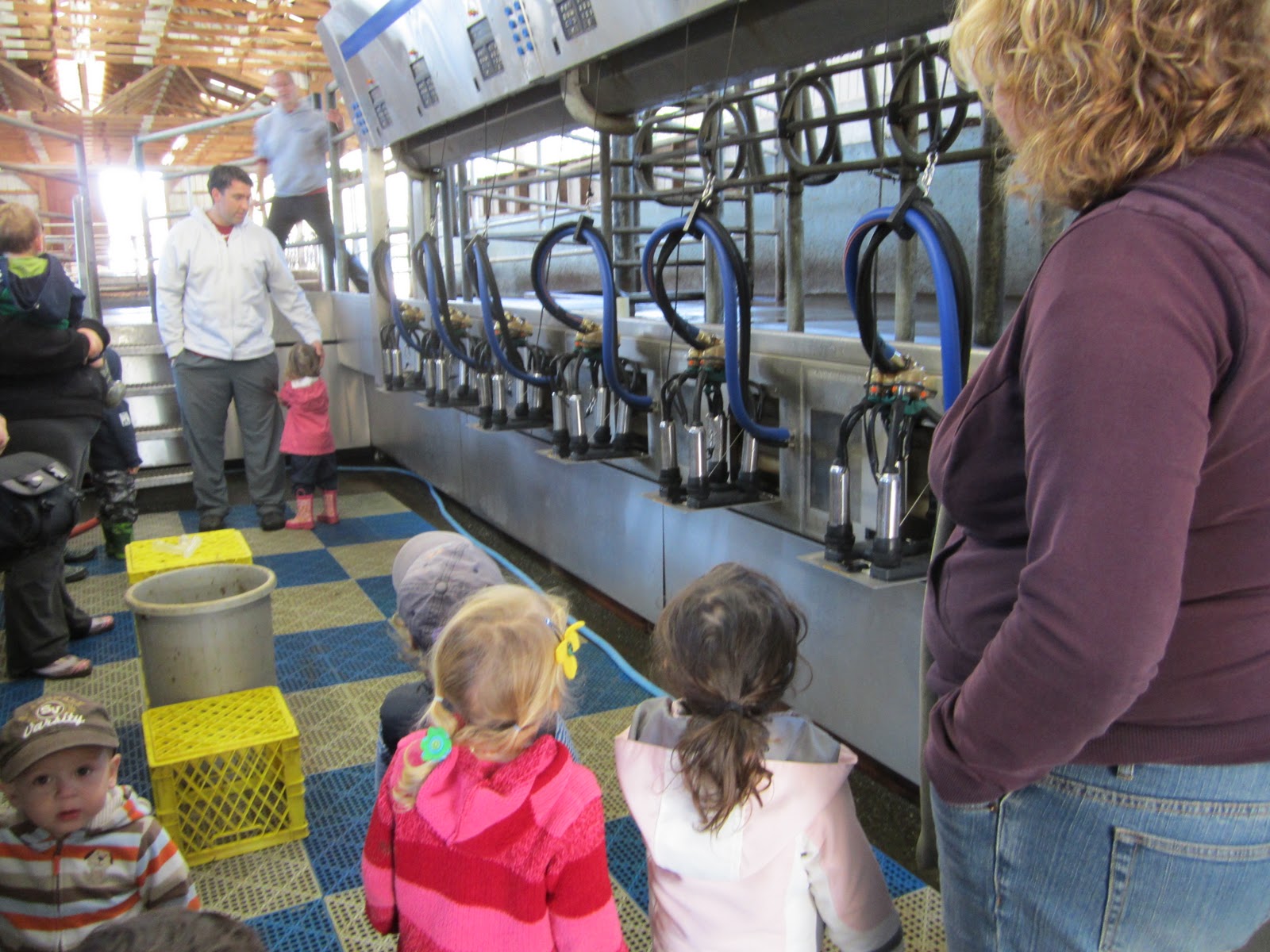 StrongStart Dairy Farm Field Trip