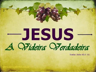 Série: Jesus no Evangelho de João - Jesus: A Videira Verdadeira