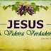 Série: Jesus no Evangelho de João - Jesus: A Videira Verdadeira