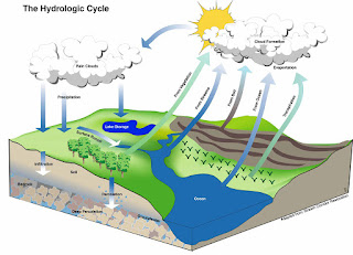 Jelaskan Siklus Hidrologi Beserta Gambarnya MAKALAH SIKLUS HIDROLOGI LENGKAP GAMBAR