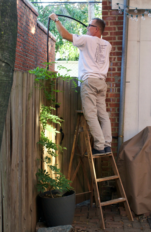 Training our Wisteria DIY PVC Pipe Garden Arbor 17 Apart