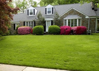 flowers for flower lovers.: Lawn garden designs.