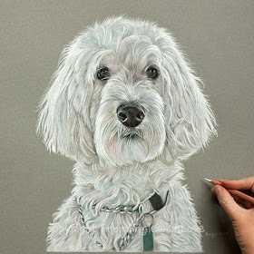 11-Sophie-the-Cockapoo-Angie-A-Pet-and-Wildlife-Pencil-Drawing-Artist-www-designstack-co