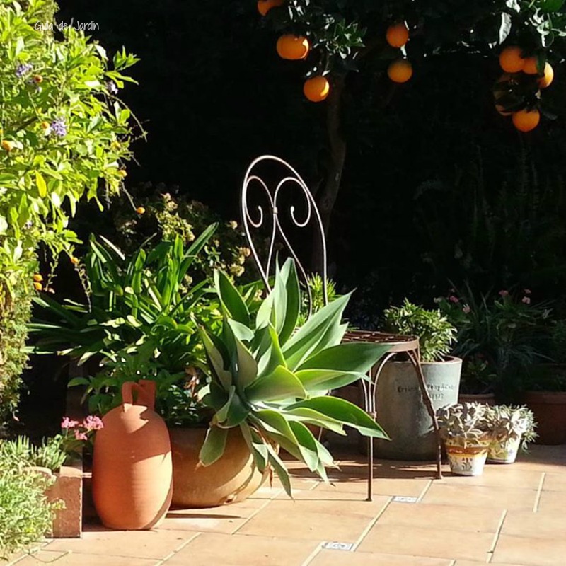 Macetas: sencillas, funcionales y bonitas a rabiar - Guia de jardin