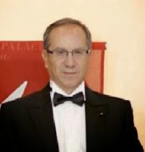 Pasquale Borreggine - Manager di MCM S.p.A.