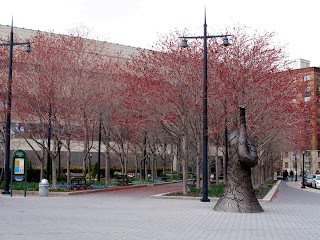 New York _Battery Park 1