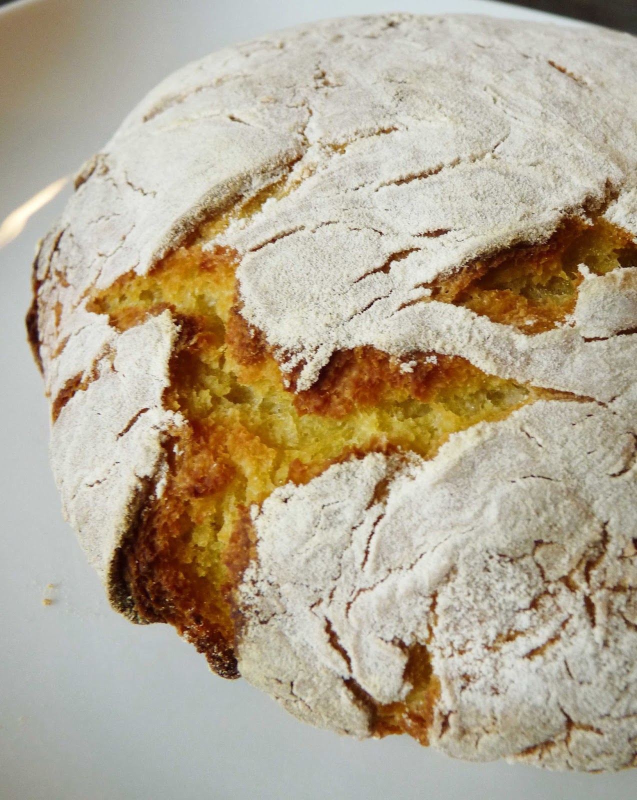 Délices aux pays des olives recettes du sud, Portugaises, Italiennes et d