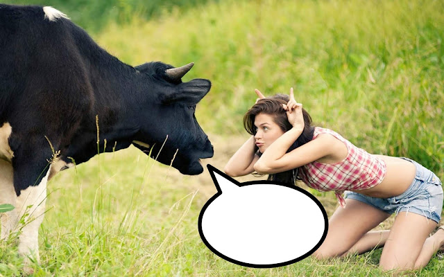 ENCHAM O BALÃO 35 → A Vaca...