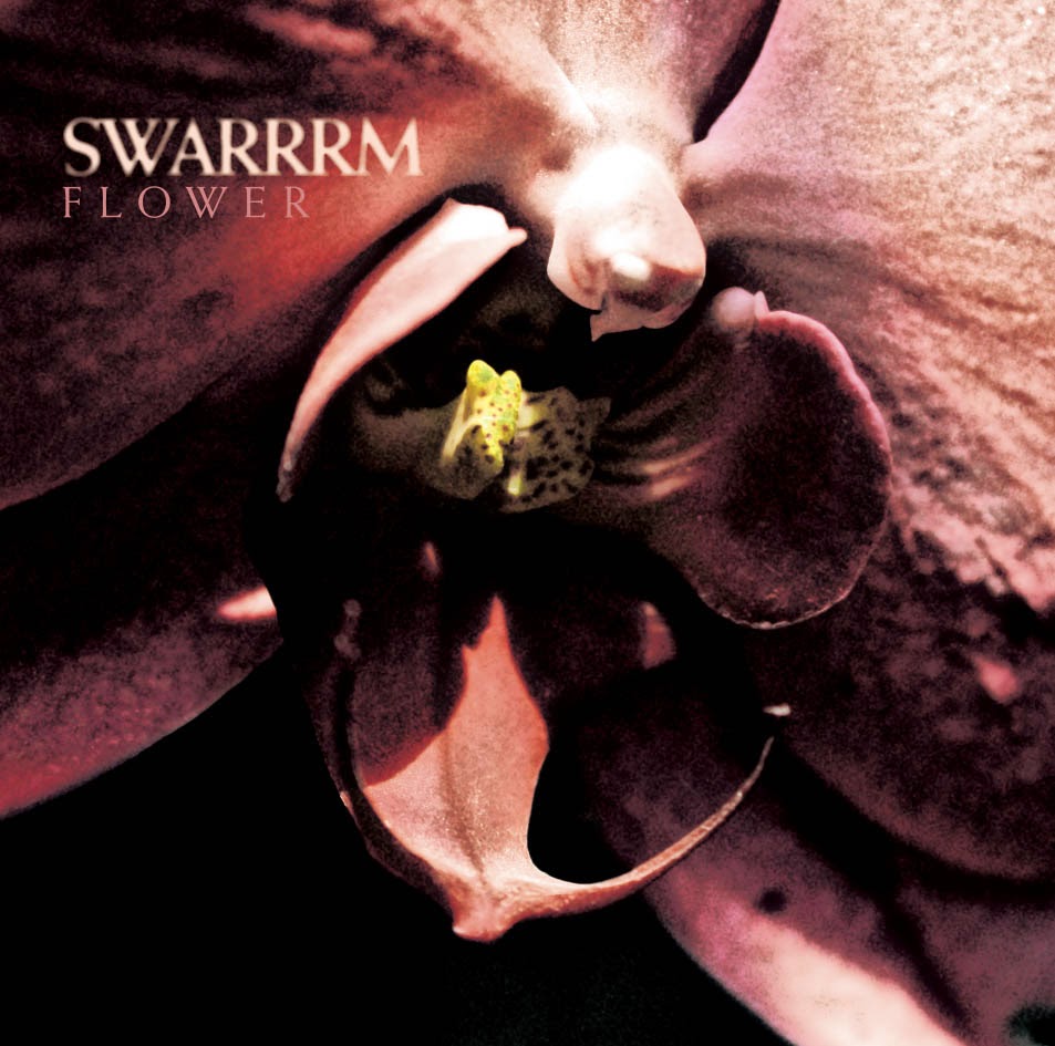Swarrrm flower artwork