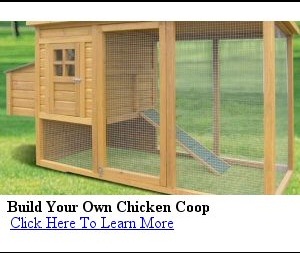 Best Chicken Coop Plans: Best Chicken Coop Plans - Best+chicken+coop+plans+1