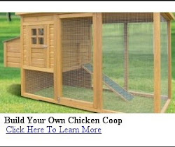 Best Chicken Coop Plans
