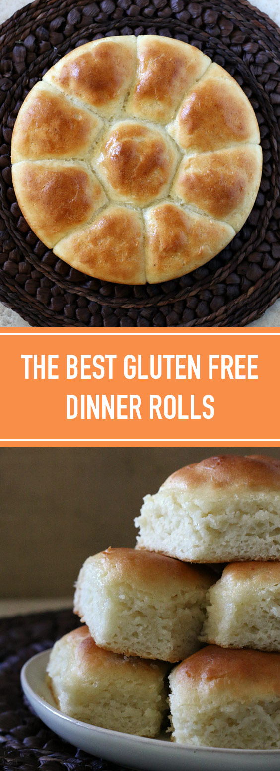 The Best Gluten Free Dinner Rolls