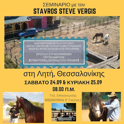 steve-stavros-vergis-horsetrainer.blogspot.com