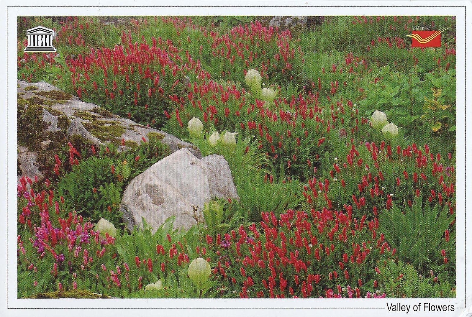 A Journey of Postcards Valley of Flowers National Park India