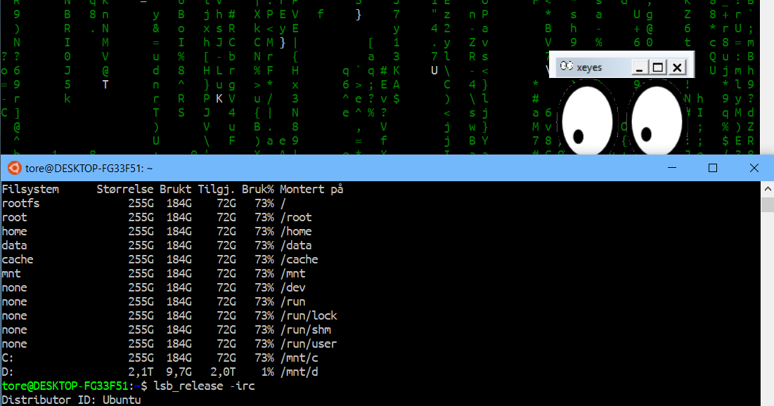 kali linux subsystem windows 10