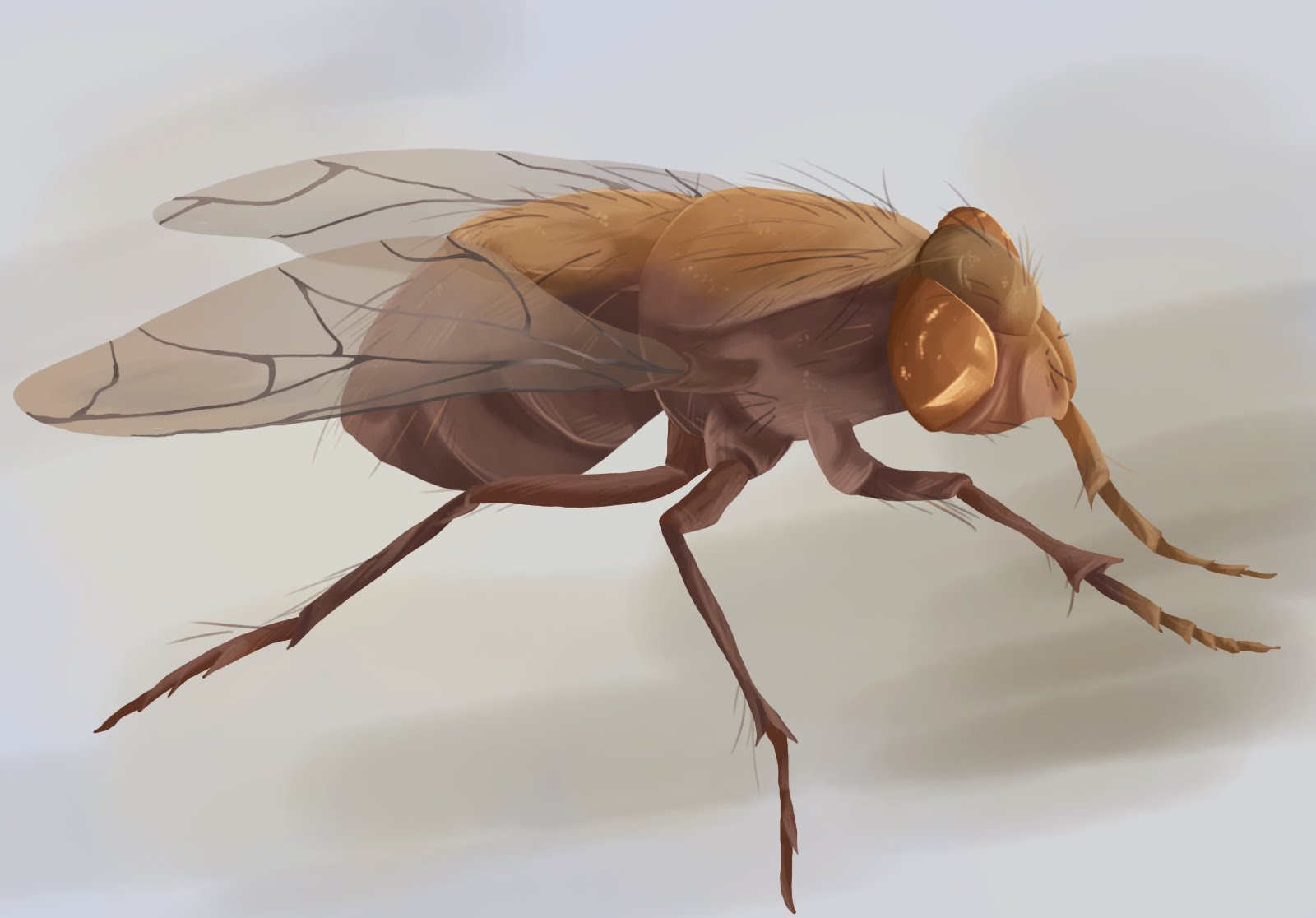 Busbyart: March 2011