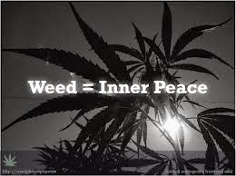 storyamor79: Weed Quote