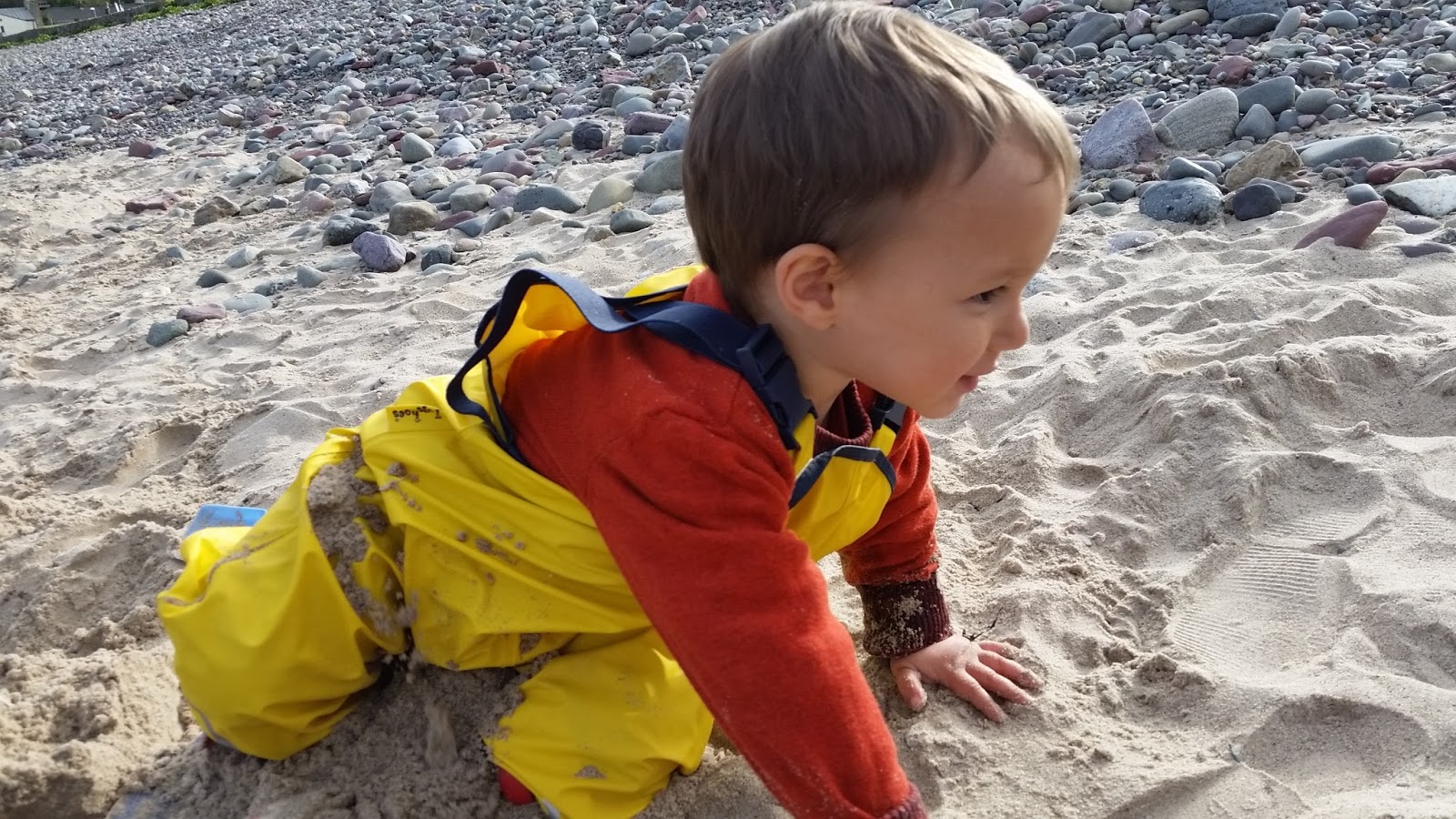 Speech, Language, Bilingualism and Homeschooling Live Q and A 2