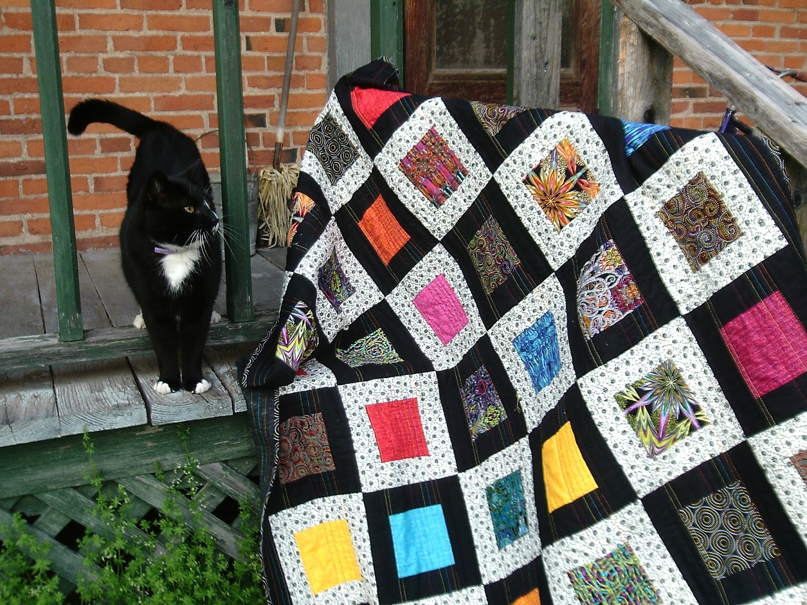 VROOMANS QUILTS Cats on Quilts Pets on Quilts Show