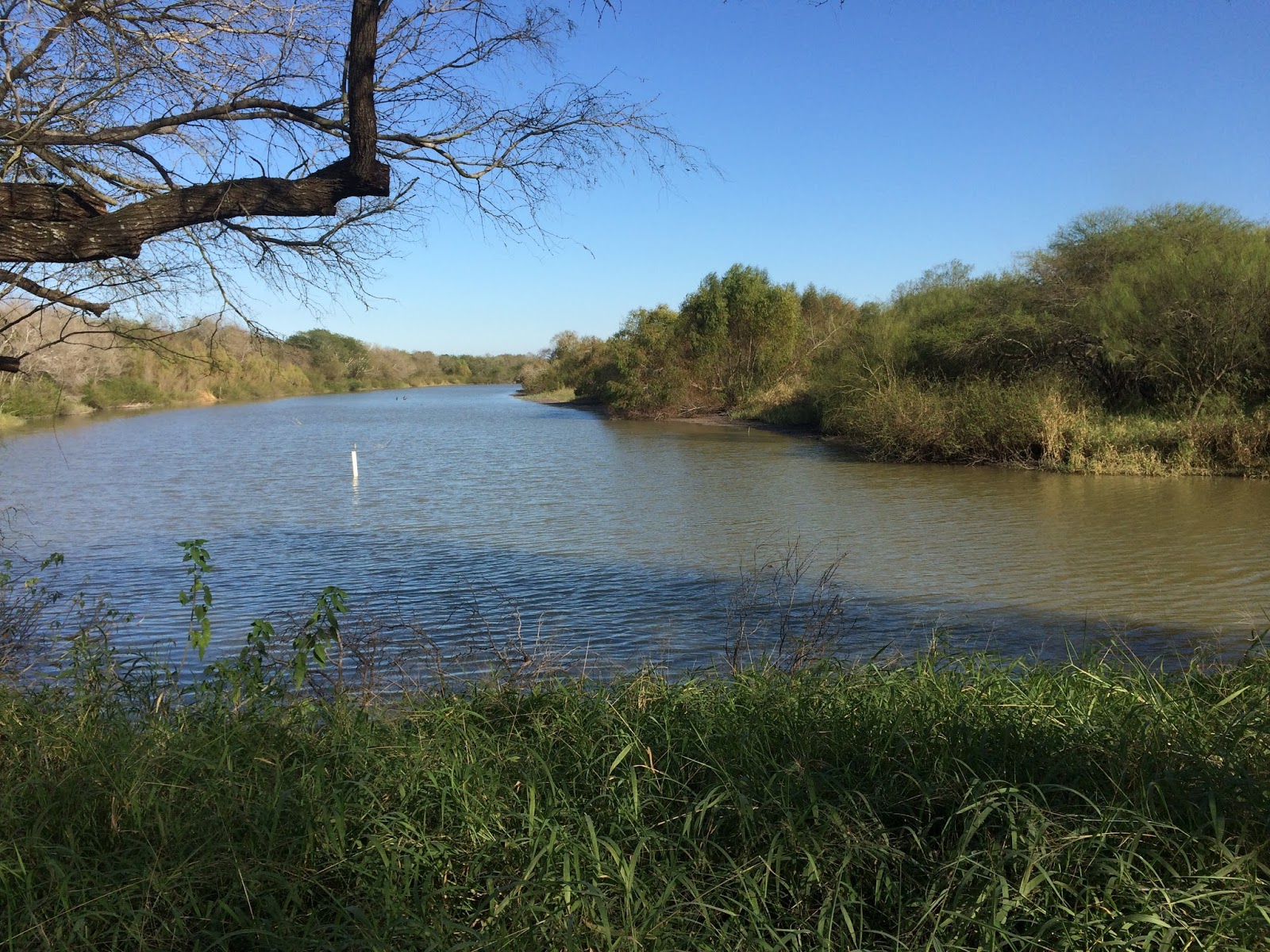 Texas State Parks and Travel Tour Resaca de la Palma State Park, 12/23/15
