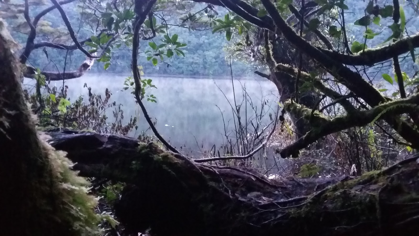 Hgat Informasi Menuju Gunung Masurai