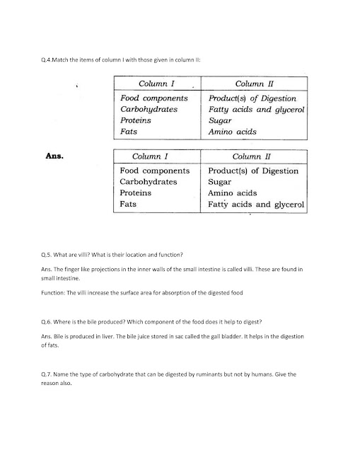 NCERT Solutions Of Class 7 SCIENCE Chapter 2 Nutrition In Animals 02