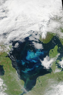 NORTH SEA WITH BLOOMING PHYTOPLANKTON
