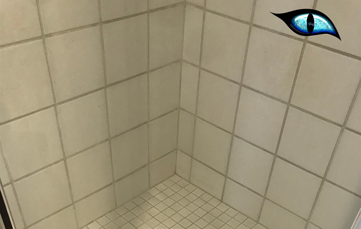 Say Goodbye to Stain Grout in your Shower Using the Best Epoxy Grout Sealer