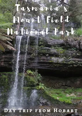 Tasmania's Mount Field National Park and An Encounter with a Wild Platypus on a Day Trip from Hobart #Tasmania #Australia