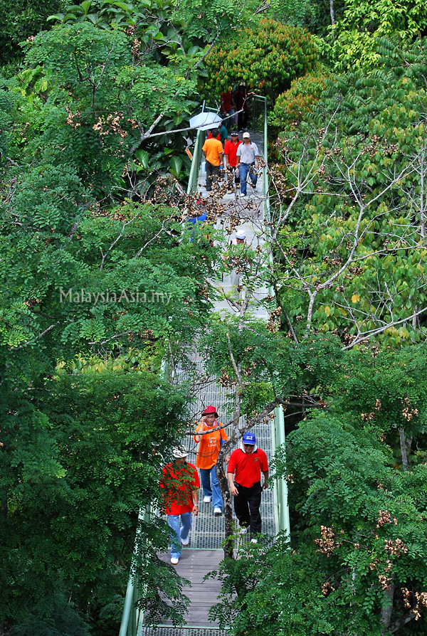 Sandakan Rainforest Discovery Center