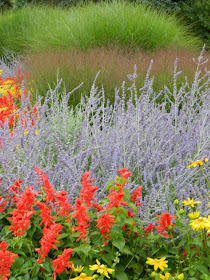 James Gardens late summer primary colour annuals by garden muses- a Toronto gardening blog