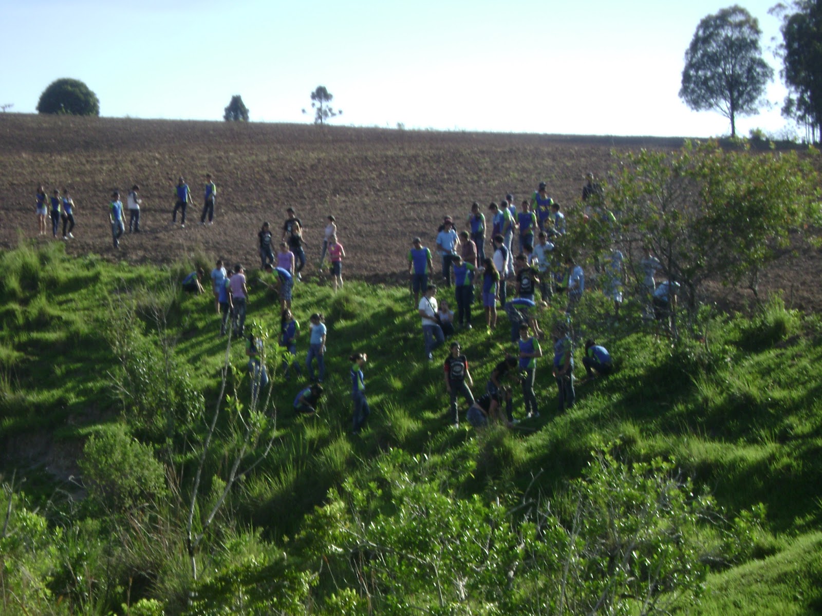 ENO BRASIL Rio Branco do Ivaí