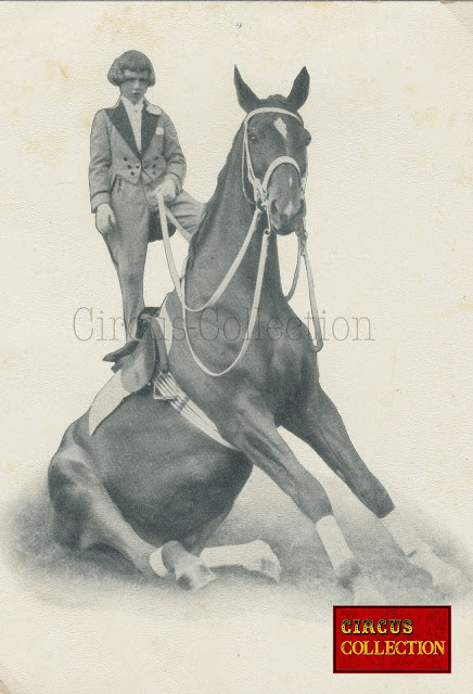 Carte postale représentant Fredy Knie senior  debout sur son cheval assis 