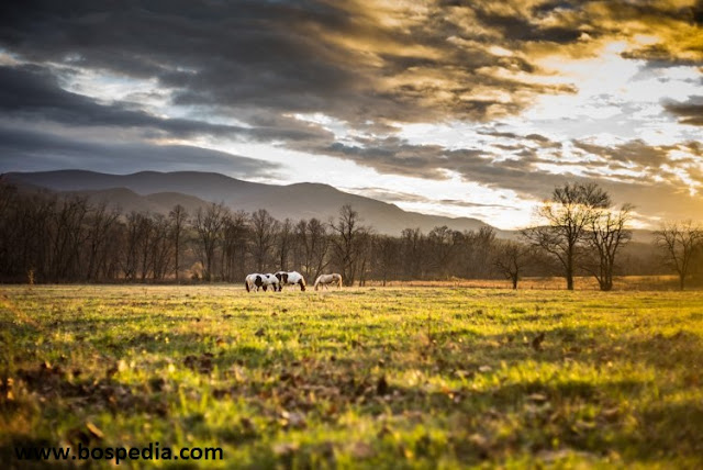 Tips Sederhana untuk Landscape Photography Menggunakan Lightroom