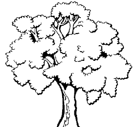 Árvore para pintar - Árvore Simples Árvore para pintar - Árvore Simples
