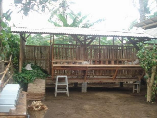 Cara Beternak Kambing Dengan Benar Yang Menguntungkan Cara