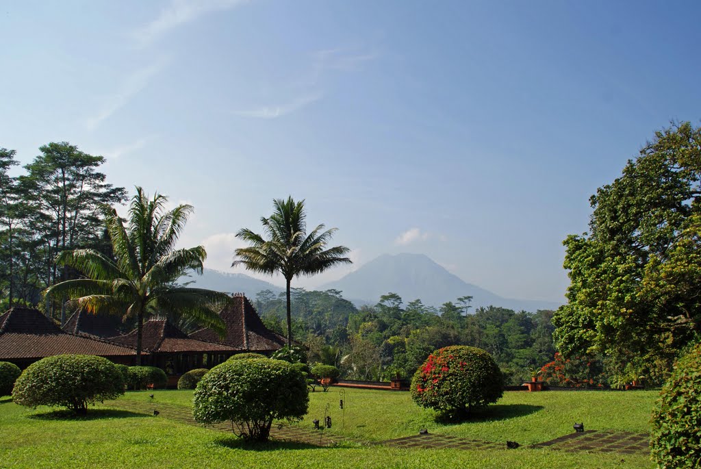 travel & living: Losari Coffee Plantation Resort & Spa