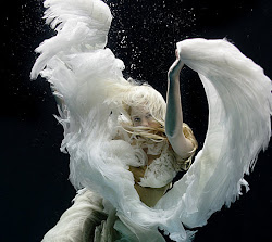underwater water angel shoots under quality holloway zena shoot stunning swan dance angels