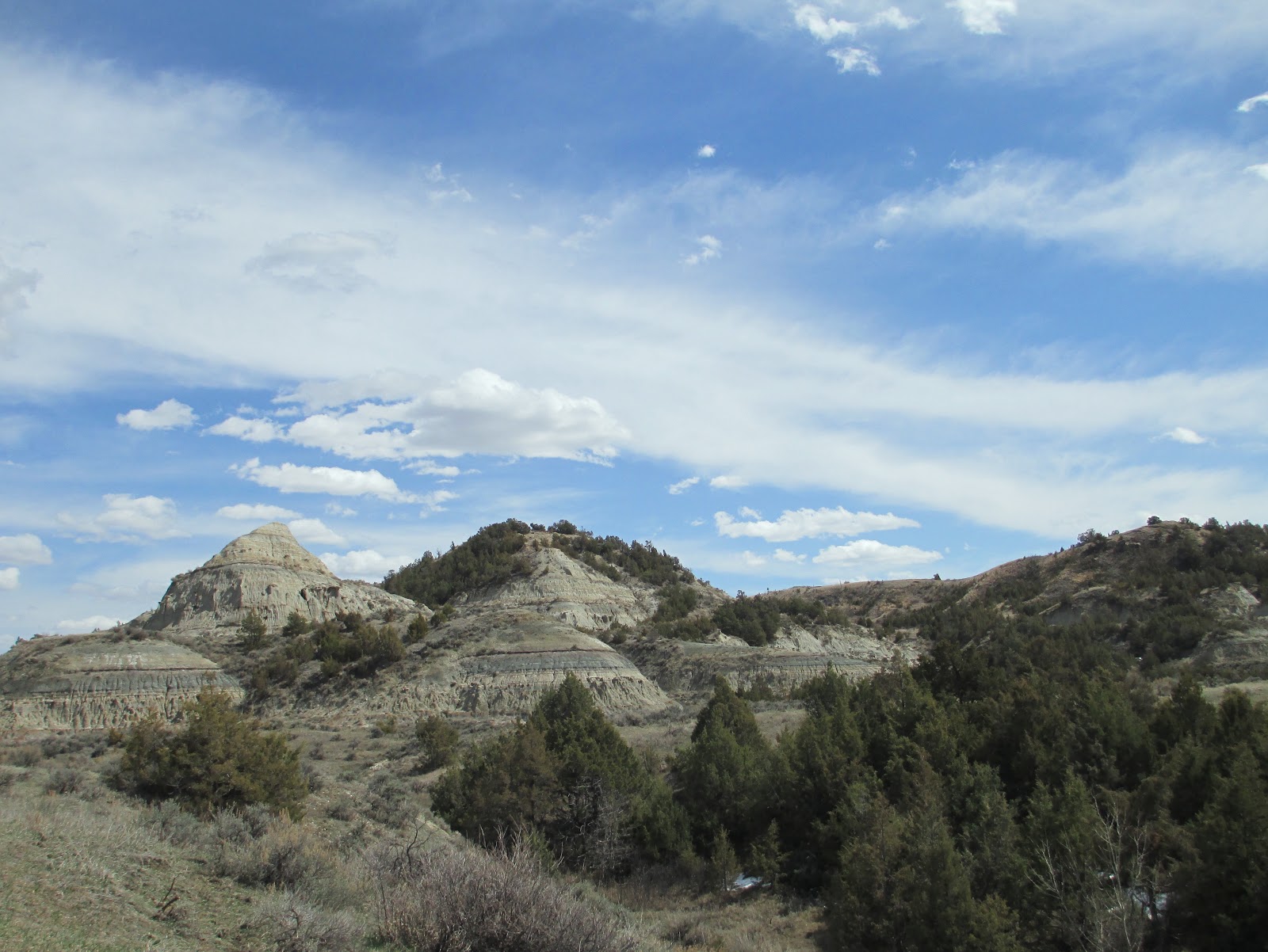 Travel Reviews & Information: Theodore Roosevelt National Park - North ...
