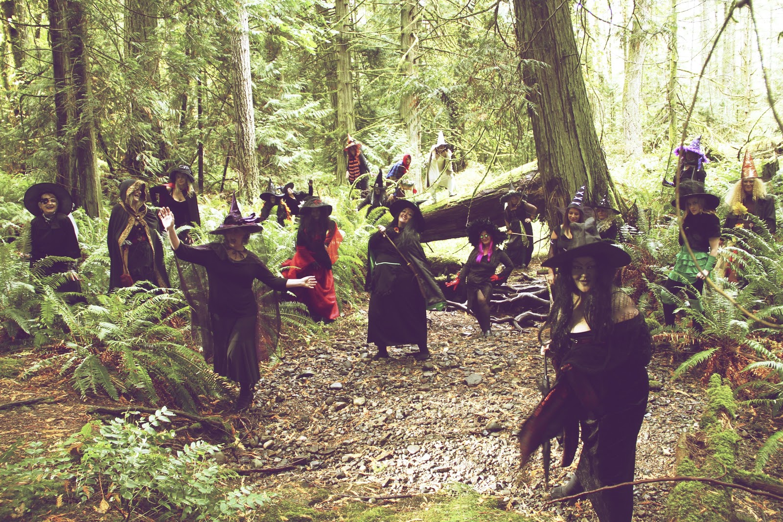 Witches in the Woods by Lisarey Photography Witches in the Woods by Lisarey Photography
