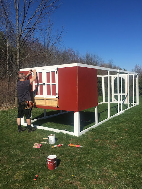 Chicken Coop construction + assembly
